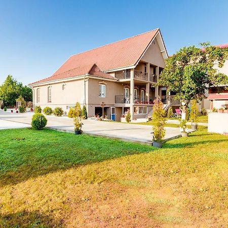 Casa Iulia Ξενοδοχείο Haţeg Εξωτερικό φωτογραφία