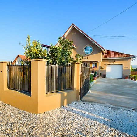 Casa Iulia Ξενοδοχείο Haţeg Εξωτερικό φωτογραφία
